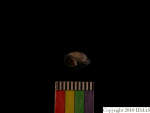 L_V22d6528 A16q861.3 Tx06 dM sh f190